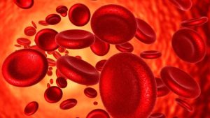 Cơ chế đông máu và các xét nghiệm chức năng đông máu