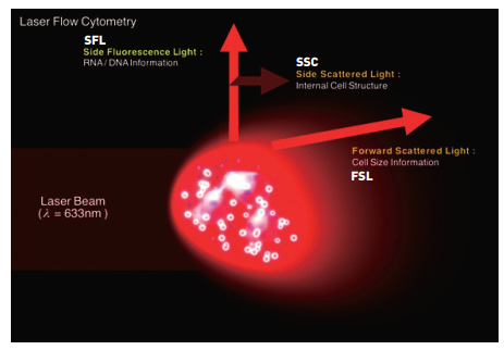 Ánh sáng laser tán xạ để đo tế bào